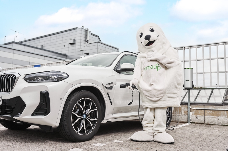 Oma Säästöpankin norppamaskotti