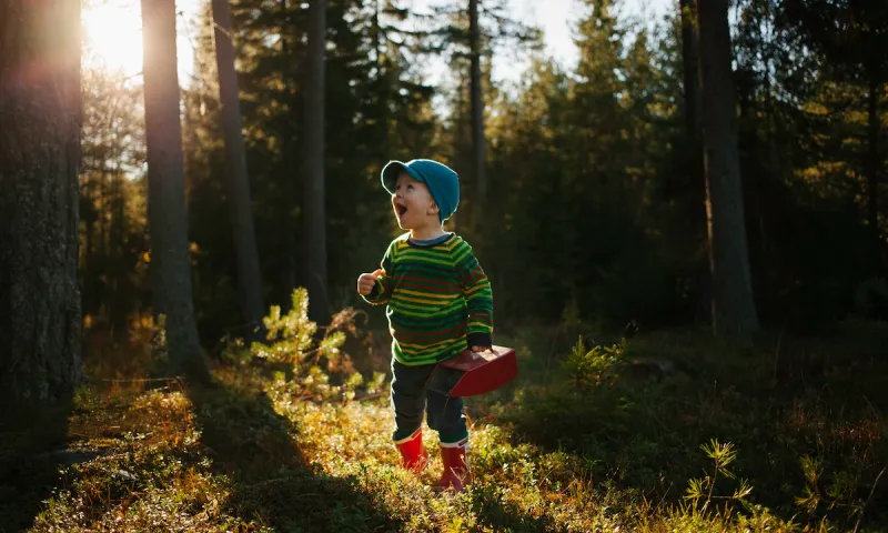 Lapsi metsässä poimimassa marjoja.
