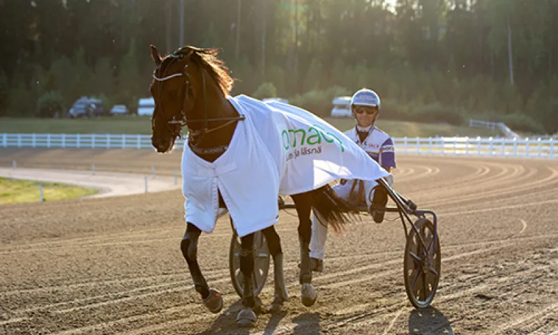 Ravihevonen jo ohjastaja